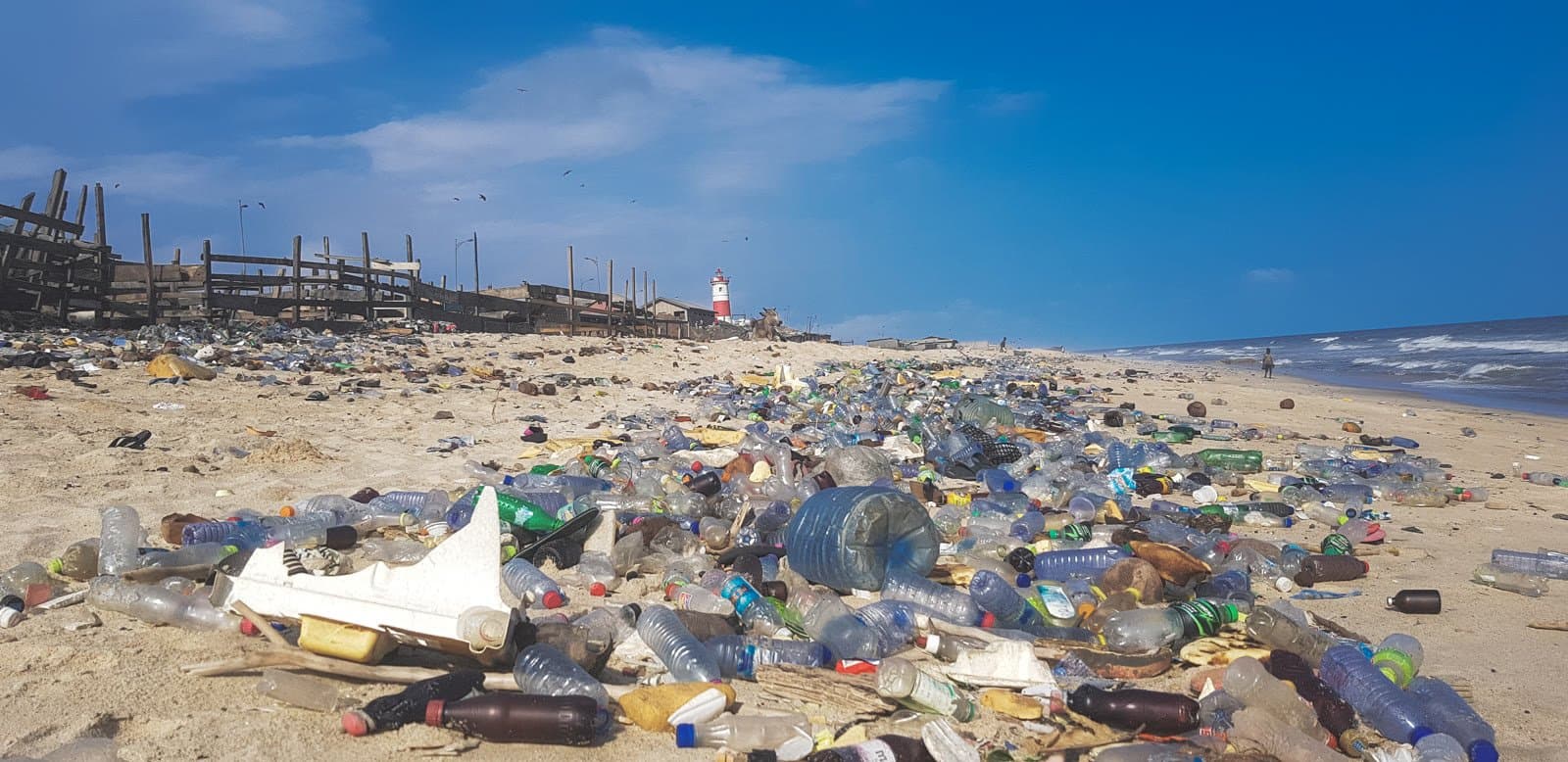 Plastic chemicals and health: new evidence dashboard sharpens zero-waste stakes ahead of COP31