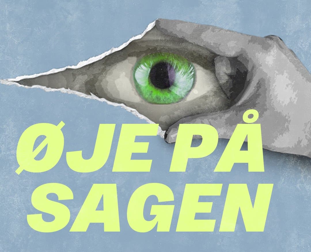 Tidligere Borgmester Collapser på Fly