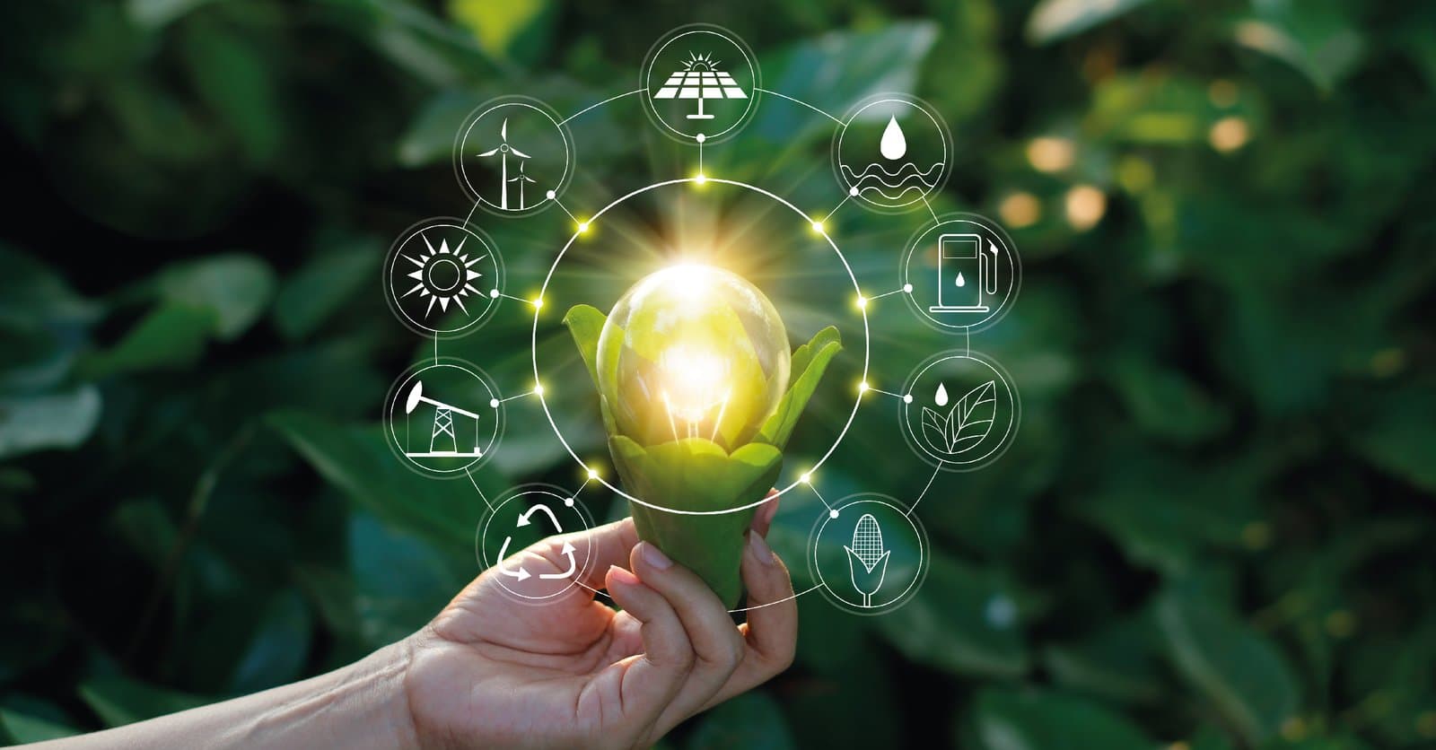 Pakistan’s Renewable Energy Growth: Achievements and Future Prospects for 2026