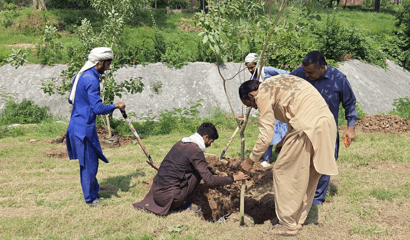 اسلام آباد میں شجرکاری مہم تیز، سی ڈی اے کی کوششیں
