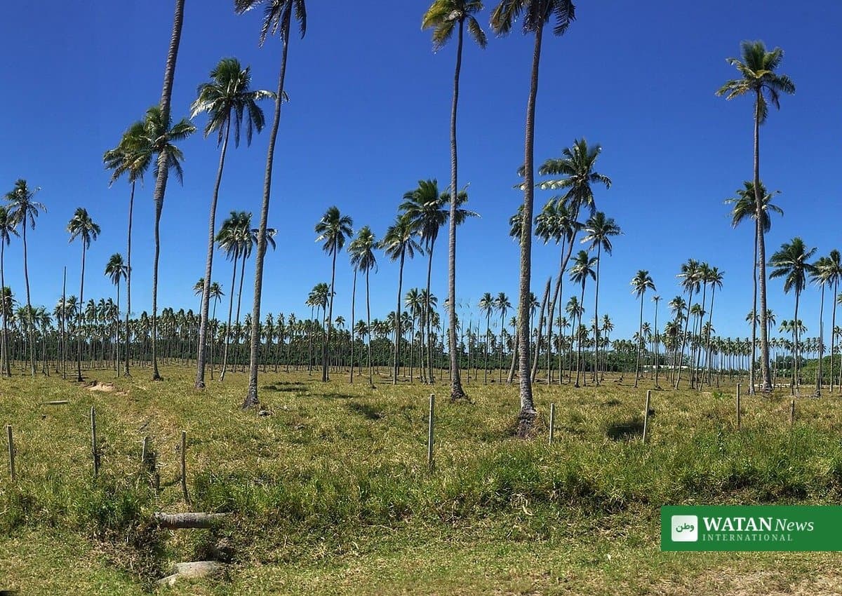 Powerful Magnitude 7.2 Earthquake Strikes Off Vanuatu, Tsunami Threat Later Lifted