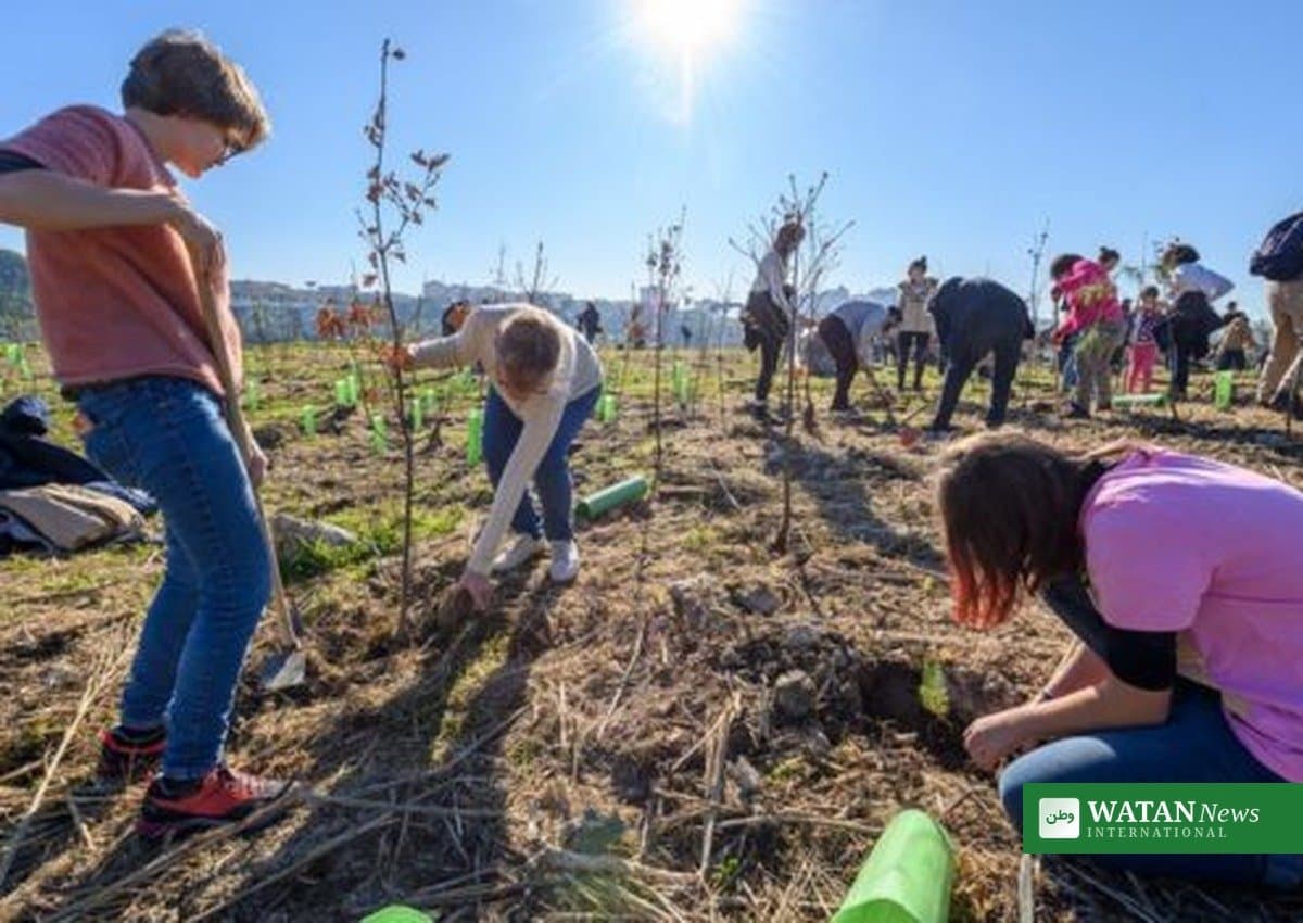 EU søger nye klimapagt-ambassadører: Ansøg inden 31. oktober