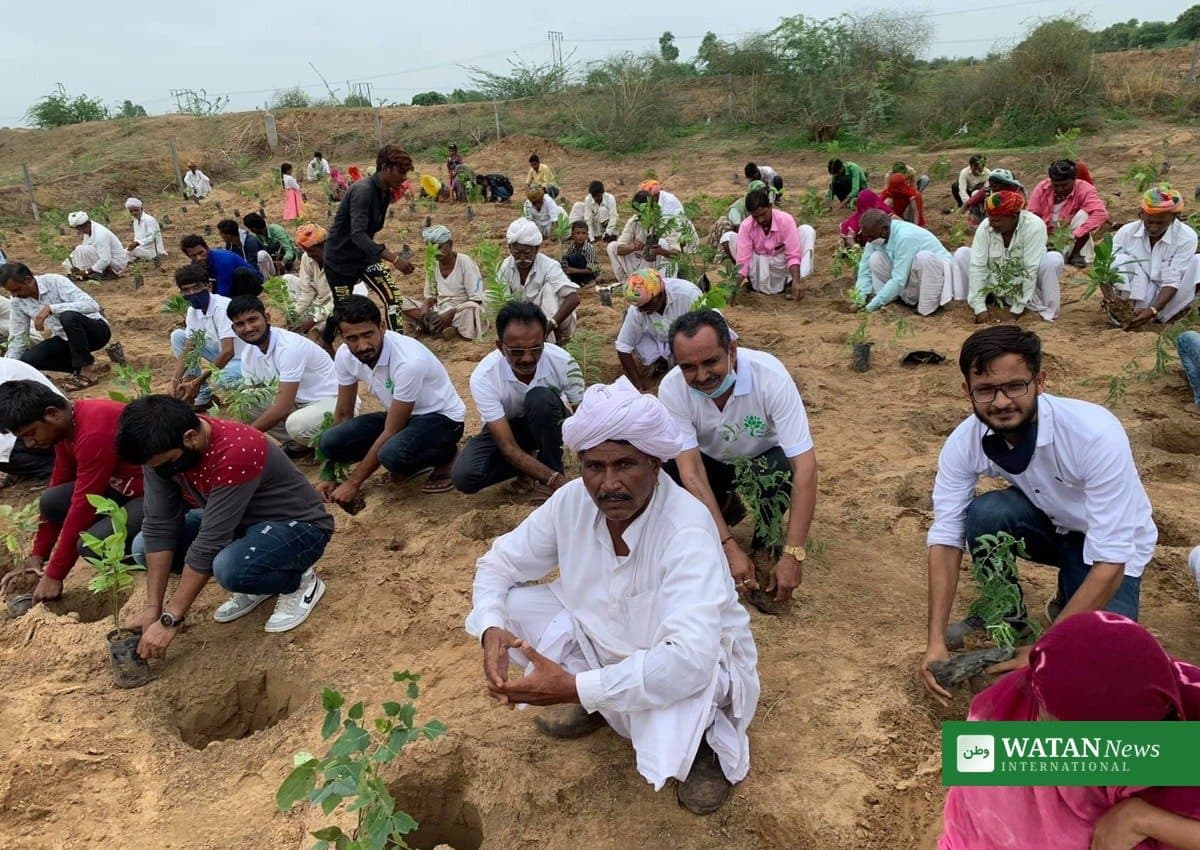 بھارت میں ایک درخت ماں کے نام مہم کے تحت ملک گیر شجر کاری