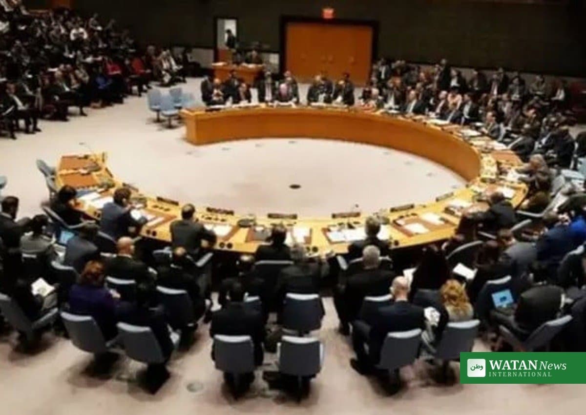 پاکستان نے سلامتی کونسل میں ویٹو کے اختیار میں توسیع مسترد کر دی