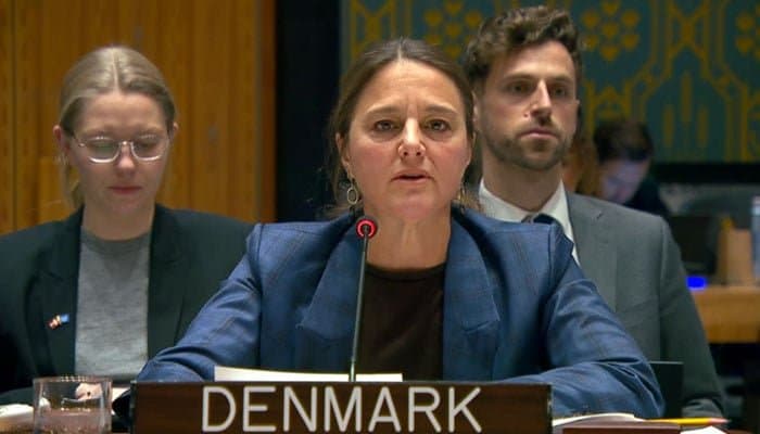 Banned TTP poses serious threat to Pakistan security: UNSC panel