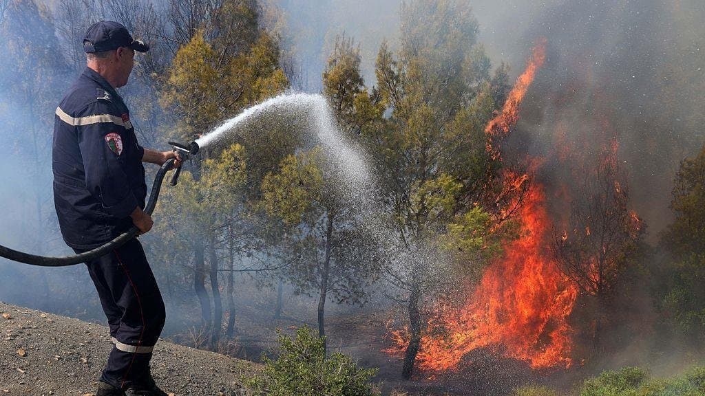 Wildfires Sweep Northern Algeria, Claiming Lives