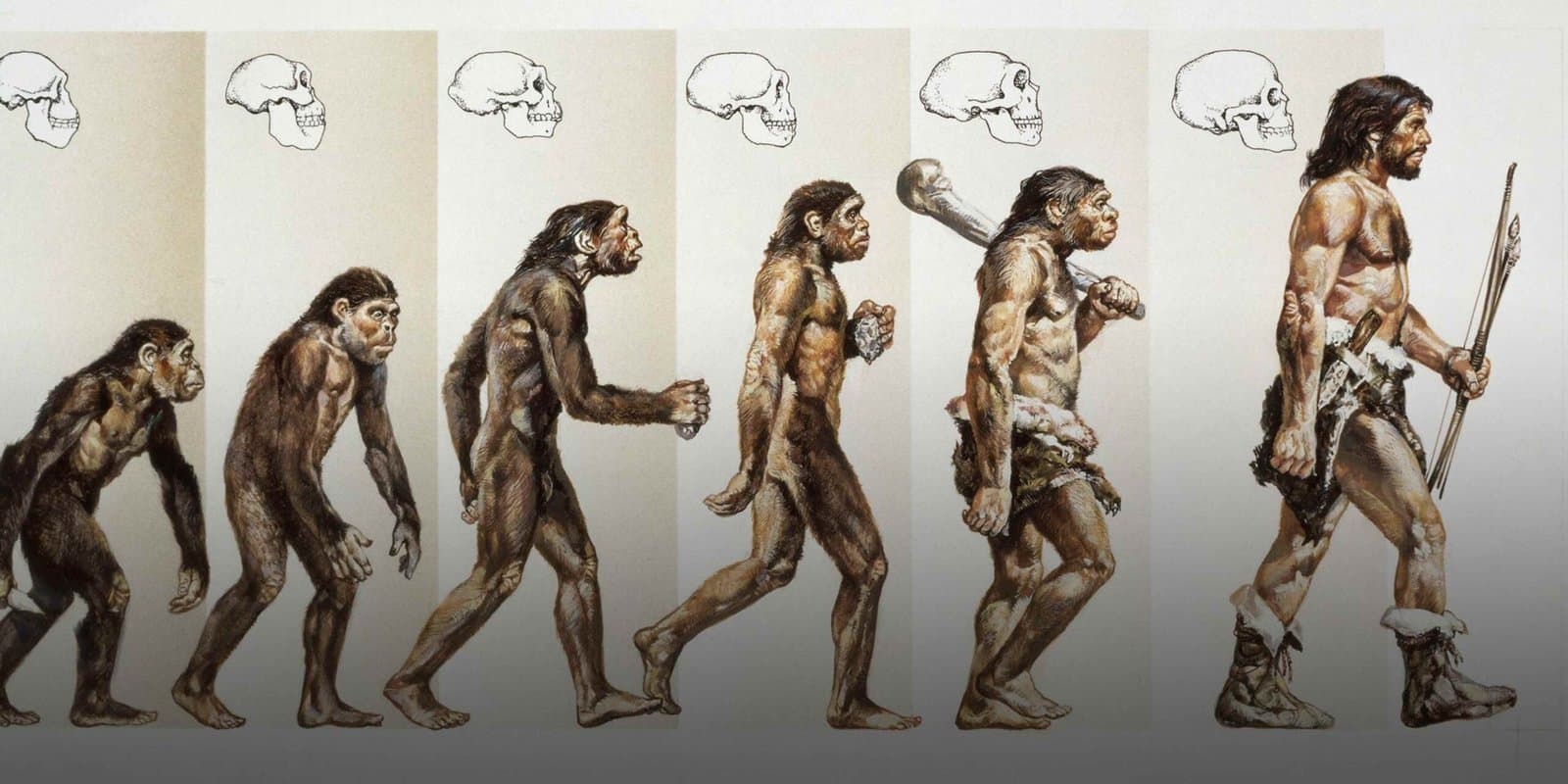 Ancient Human Species Unveiled in Africa