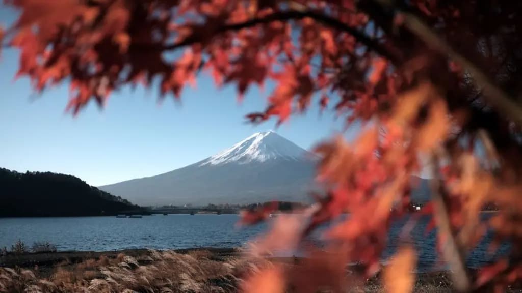 Father Abandons 7-Year-Old on Mount Fuji
