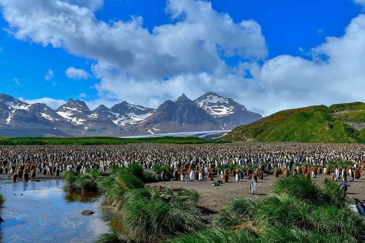 Trump Hints at Lack of US Support for UK in Falkland Islands Dispute