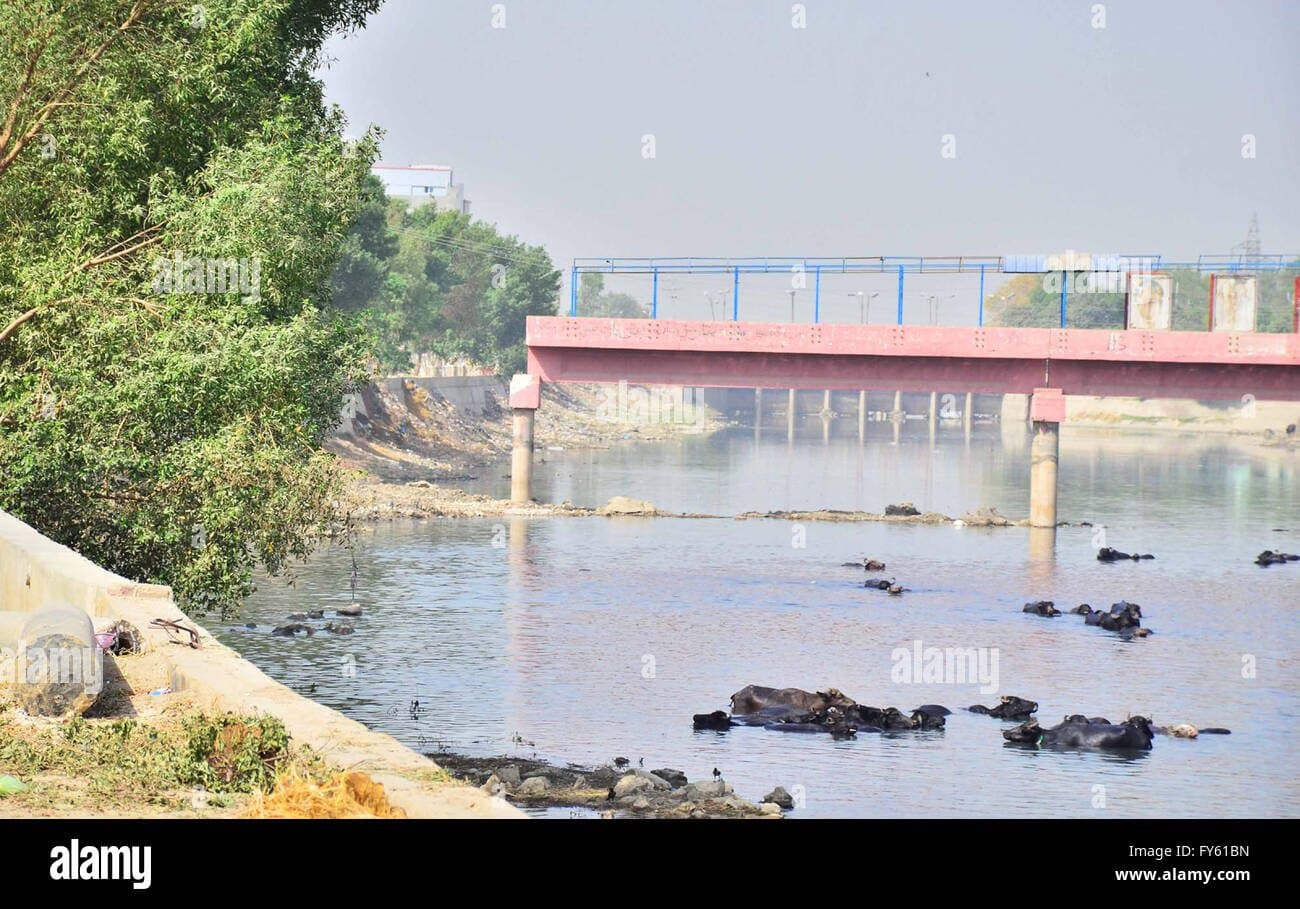 Damaged Bridge on Rice Canal Poses Accident Risk