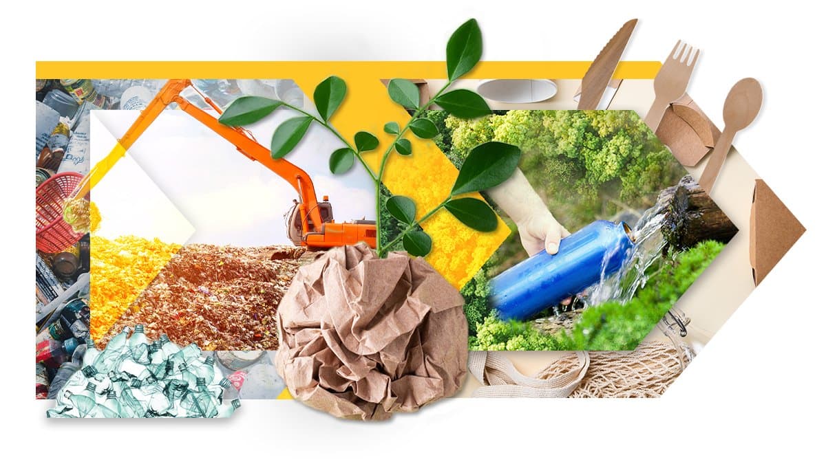 Plastic chemicals and health: new evidence dashboard sharpens zero-waste stakes ahead of COP31