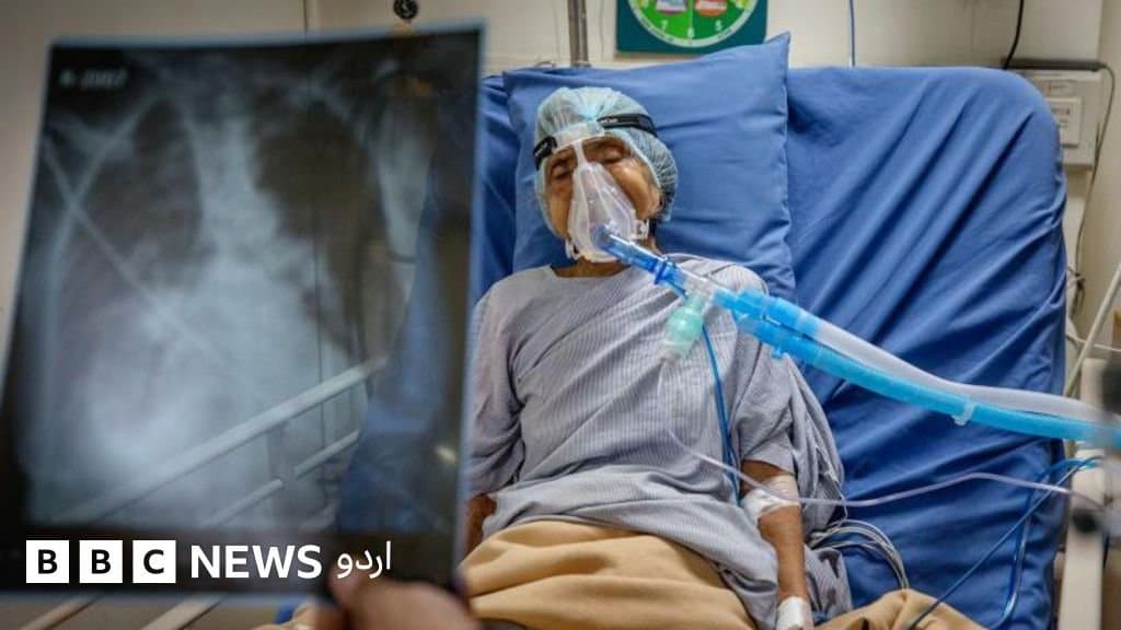 دنیا بھر میں ہر آٹھویں کینسر کی وجہ انفیکشن، ڈبلیو ایچ او کی رپورٹ
