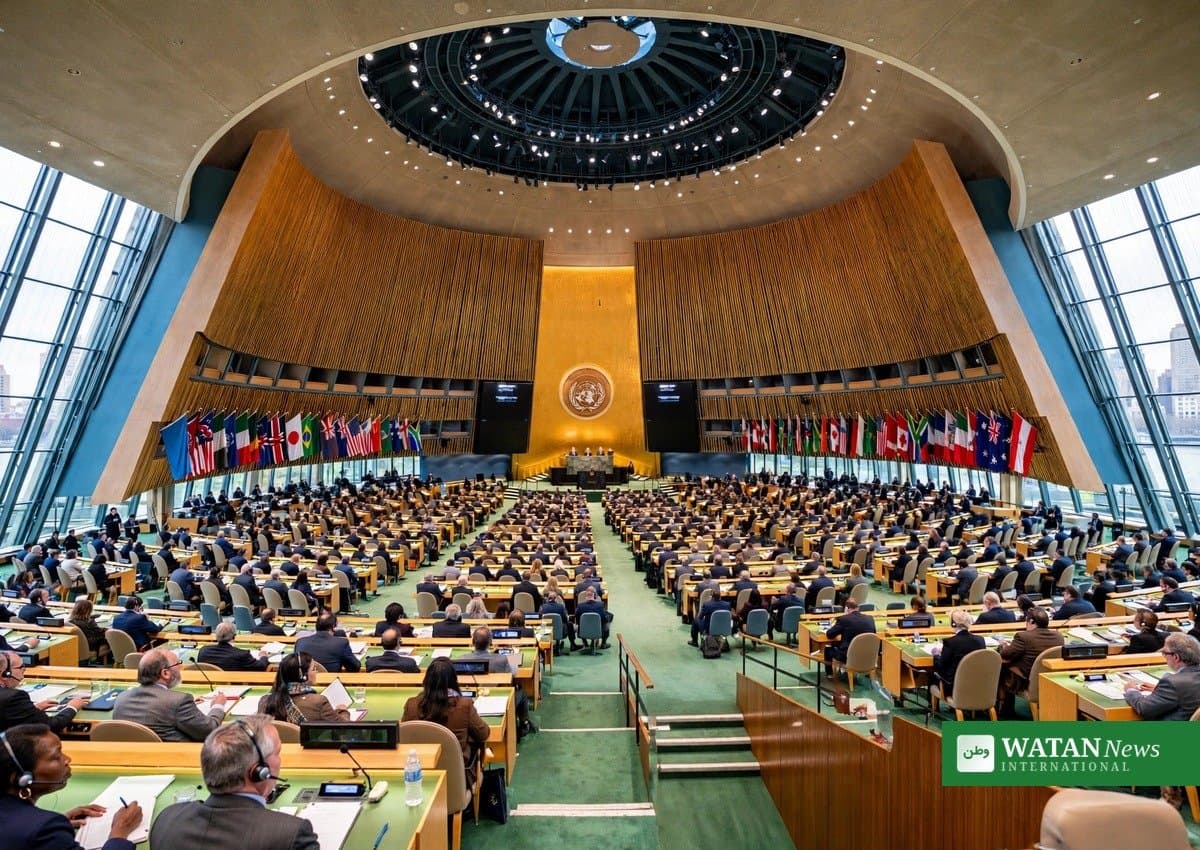 UN Expert Warns Carbon Credit Markets May Undermine Climate Action