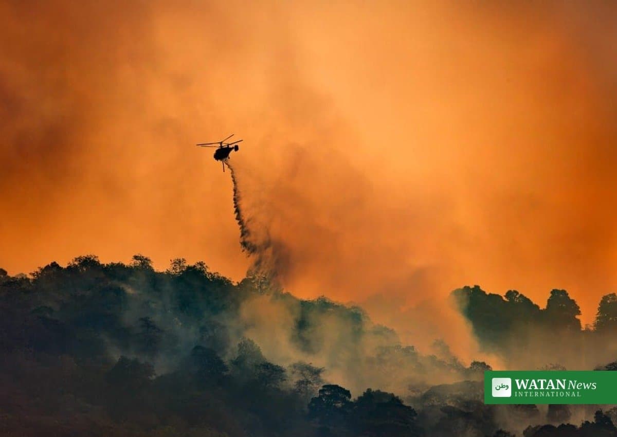 Toxic Smoke from Indonesia’s Forest Fires Blamed for 3,560 September Deaths
