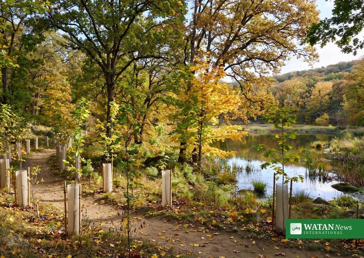 Delaware State Parks Plant 75,000th Tree in 75th Anniversary Milestone