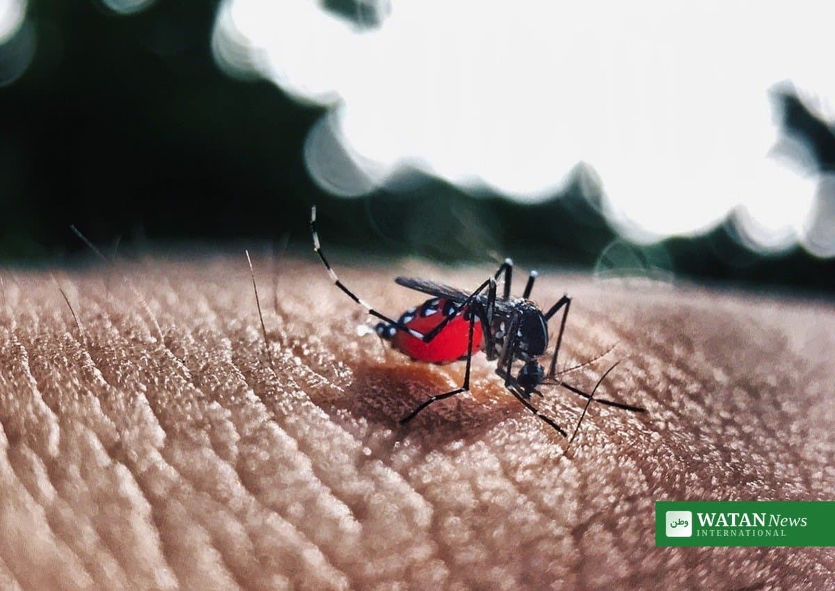 Bangladesh Dengue Death Toll Reaches 418 as October Becomes Deadliest Month of 2026