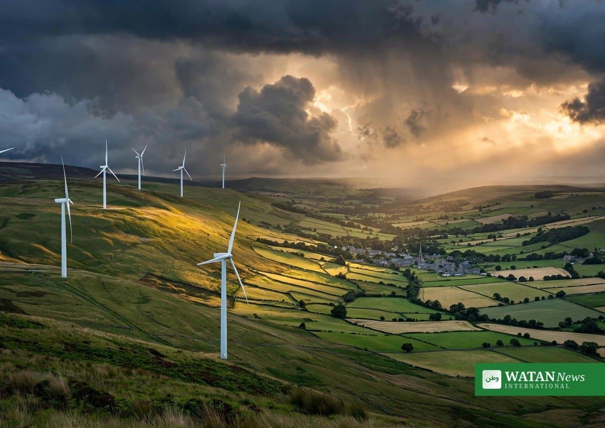 UK Public Unaware of Climate Crisis Scale, Emergency Briefing Viewers Claim