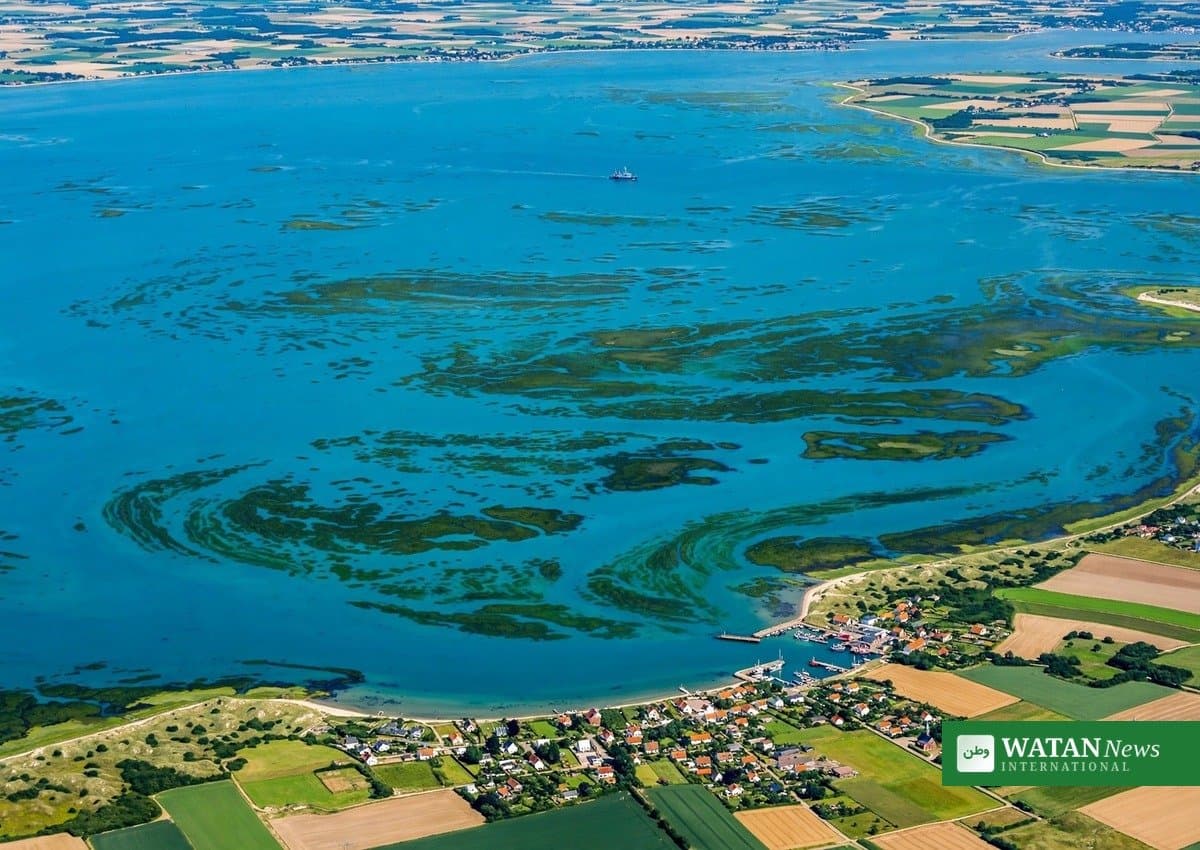 Havet har det bedre: Usædvanlig bedring i år trods bekymrende start