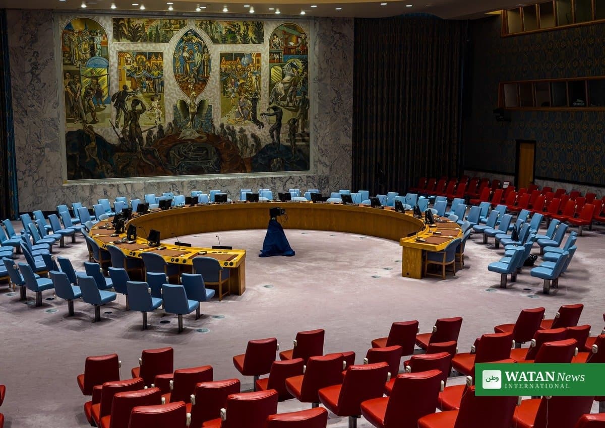 Pakistan Calls for Abolishing or Restricting UN Veto, Opposes New Permanent Seats