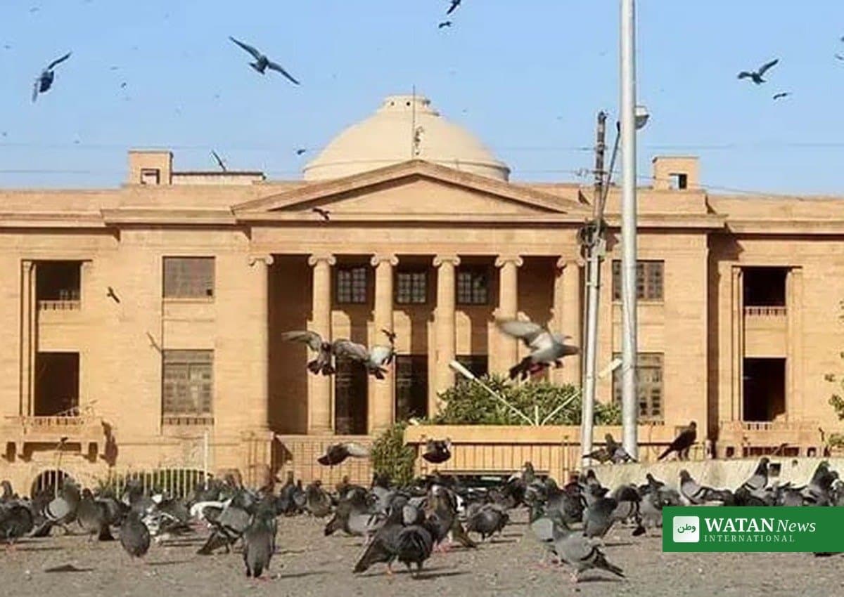 سندھ ہائی کورٹ نے محمد سلیم کی اپیل پر ریاست مخالف سازش کے مقدمے میں عمر قید کالعدم قرار دے دی